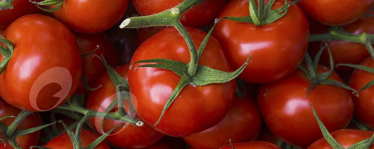 Beneficios del tomate natural